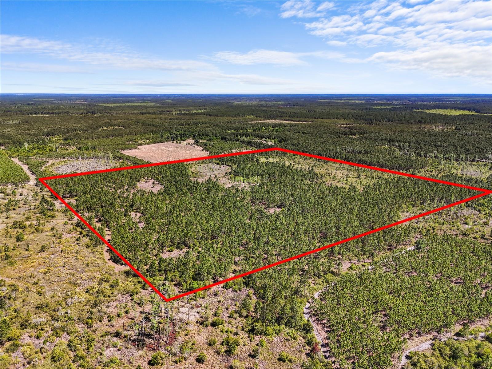 NA, GAINESVILLE, FL, 32609