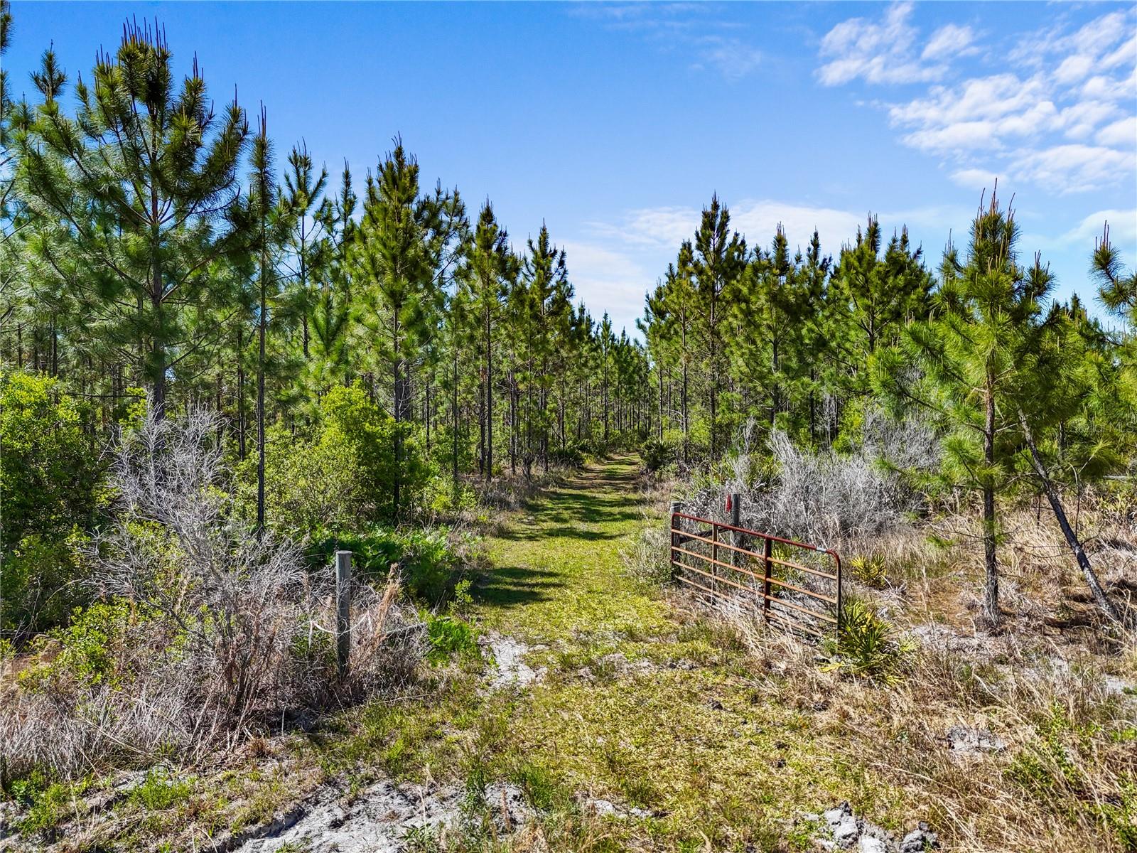 NA, GAINESVILLE, FL, 32609