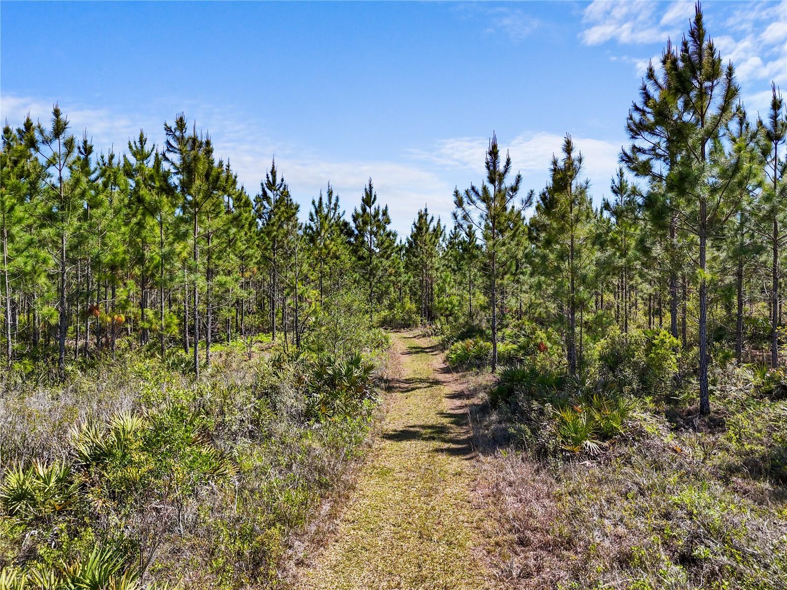 NA, GAINESVILLE, FL, 32609