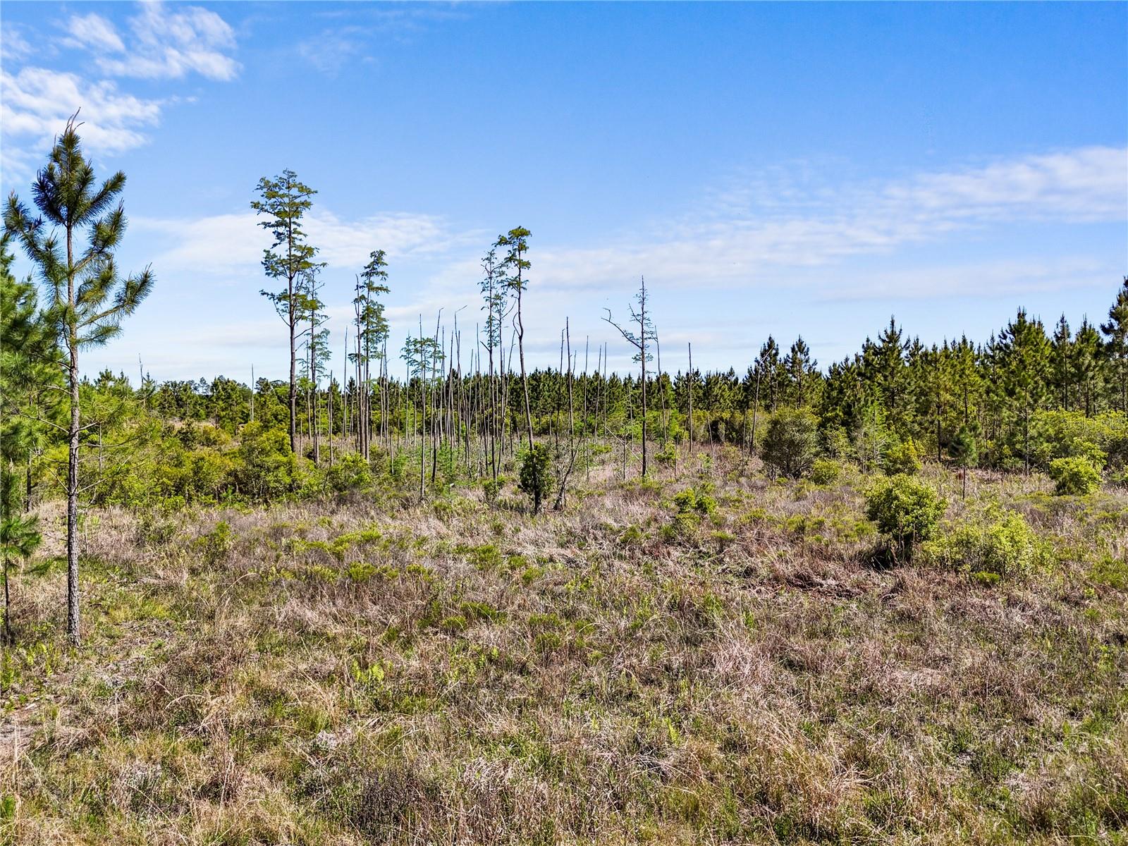 NA, GAINESVILLE, FL, 32609