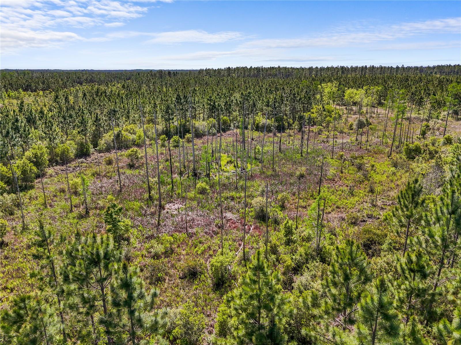 NA, GAINESVILLE, FL, 32609