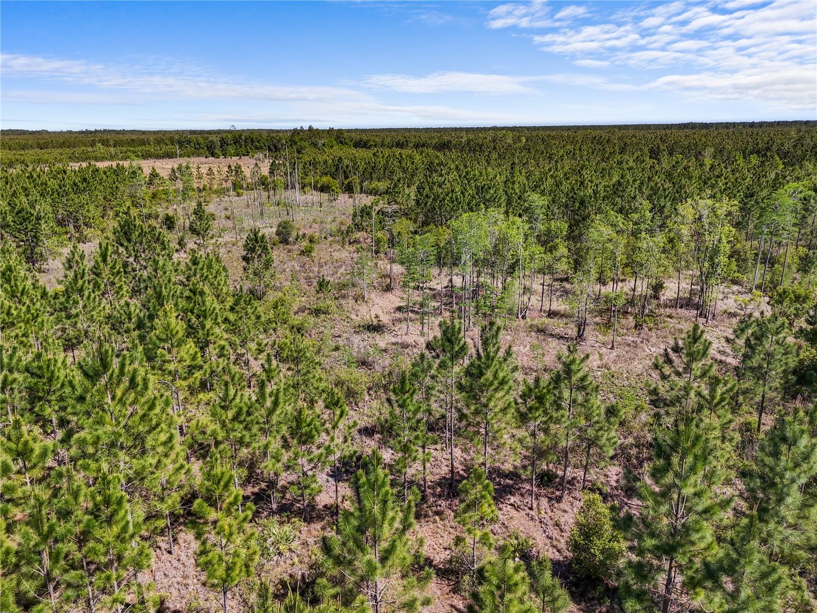 NA, GAINESVILLE, FL, 32609