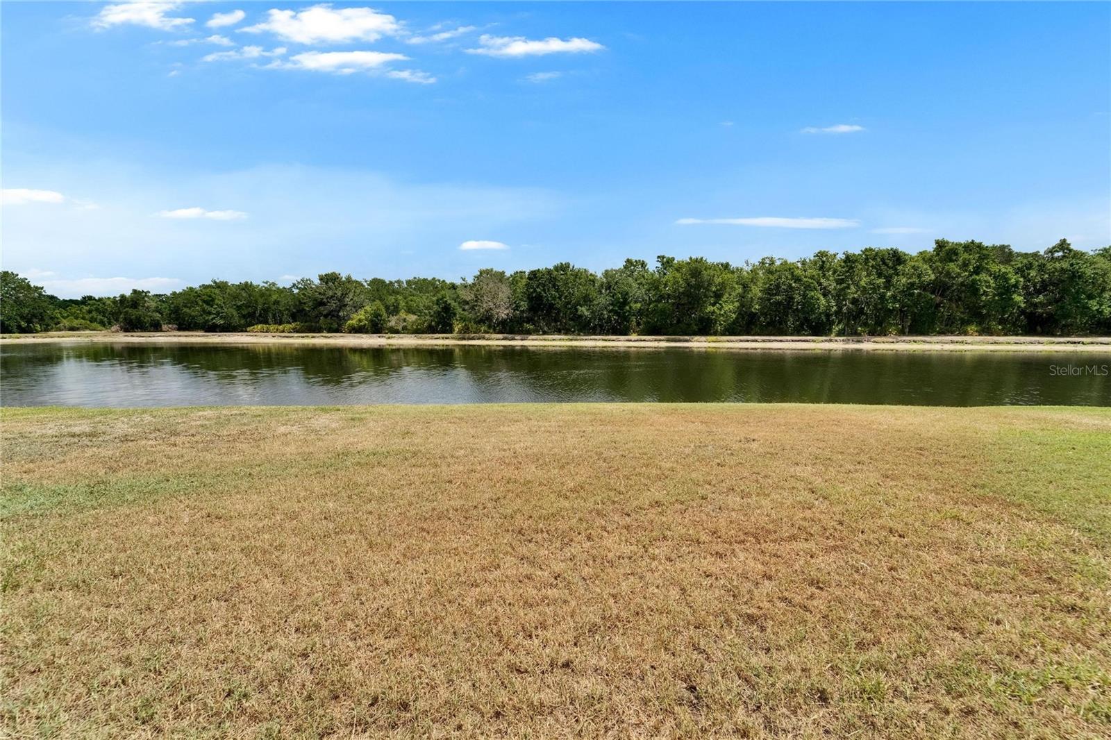 1040 SUMMER BREEZE DR, BRANDON, FL, 33511