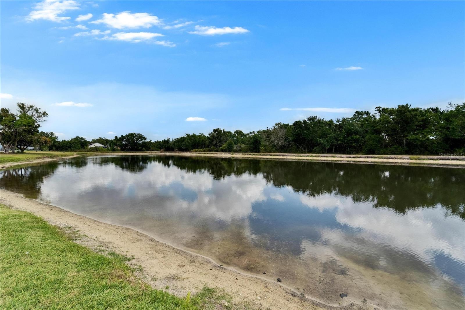 1040 SUMMER BREEZE DR, BRANDON, FL, 33511