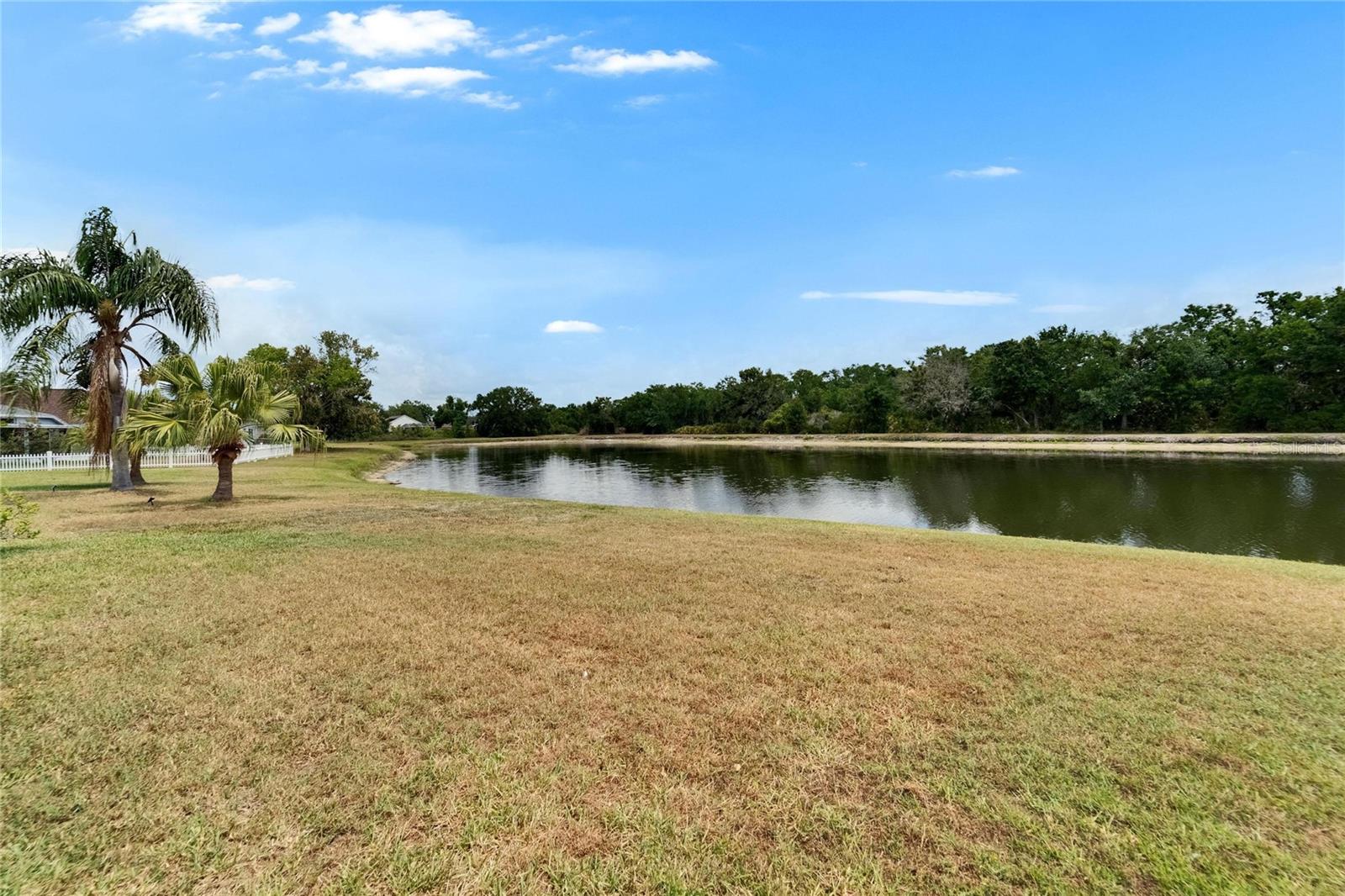 1040 SUMMER BREEZE DR, BRANDON, FL, 33511