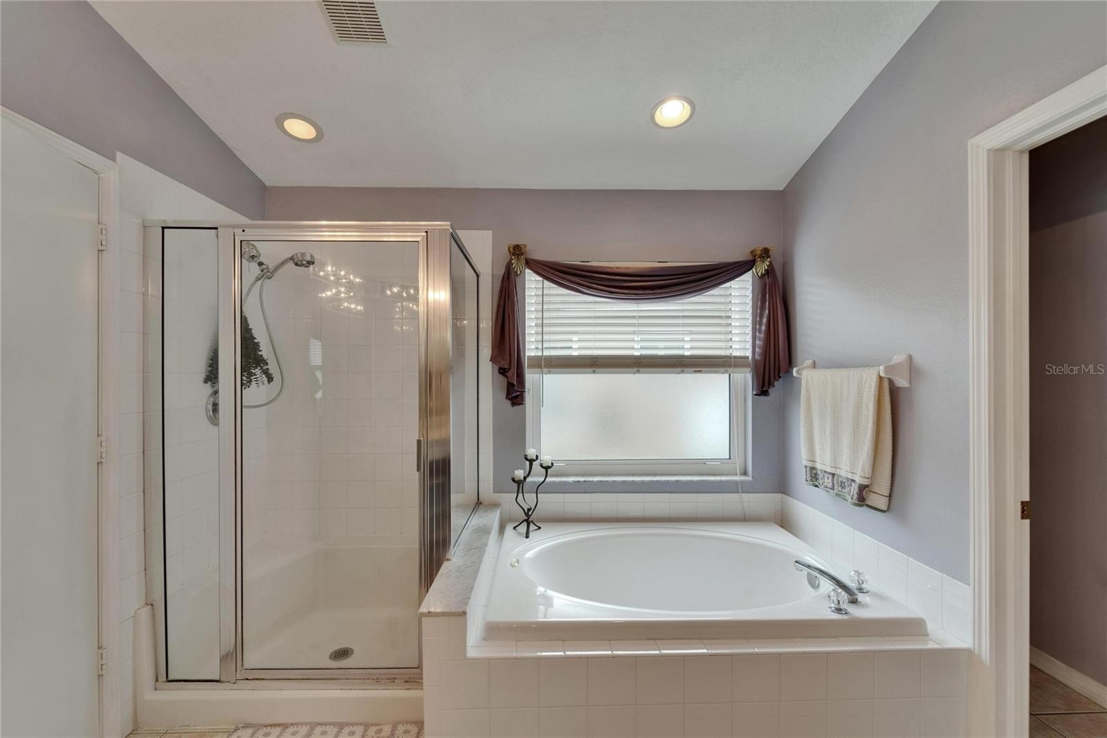 1040 SUMMER BREEZE DR, BRANDON, FL, 33511