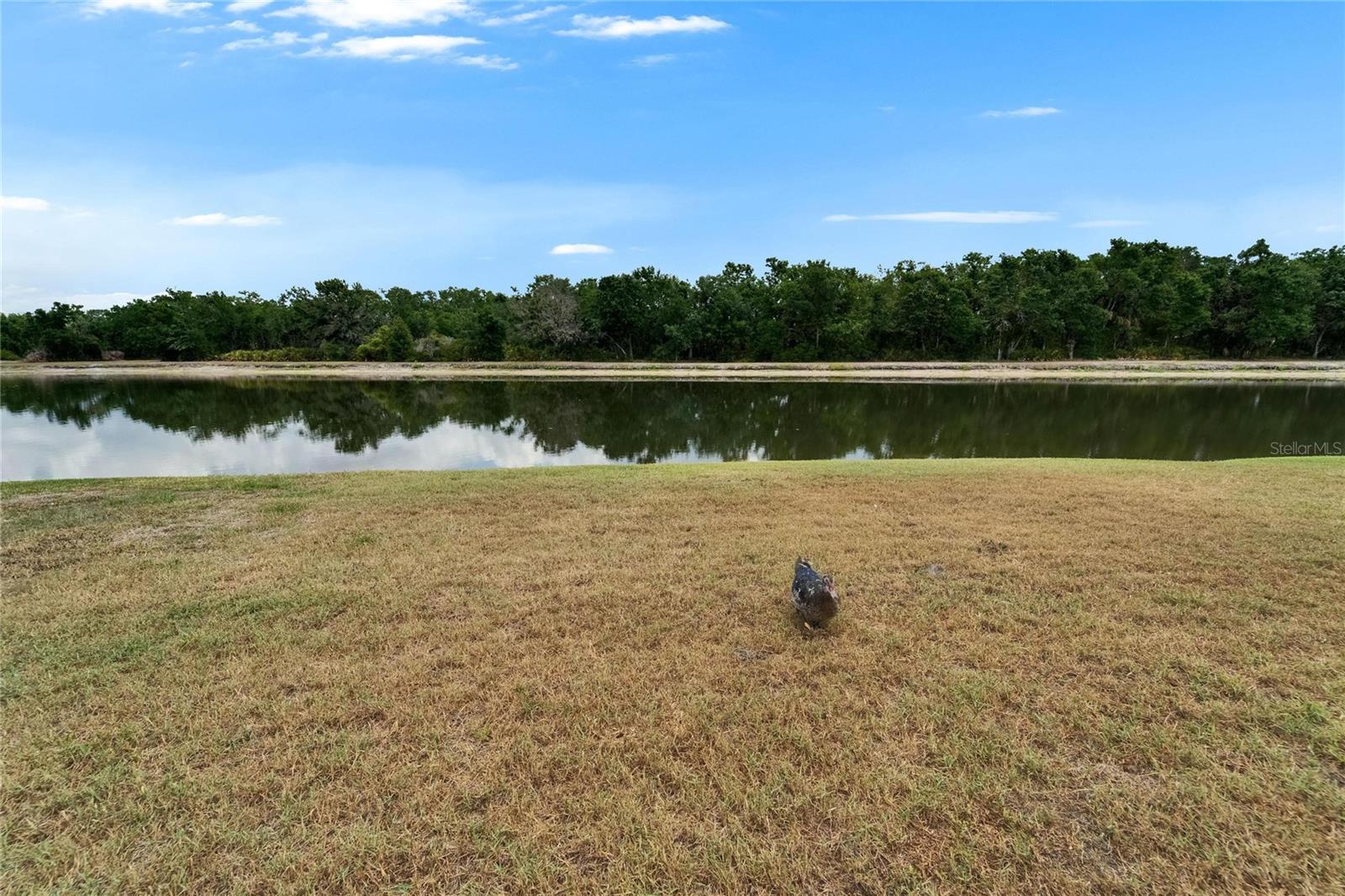 1040 SUMMER BREEZE DR, BRANDON, FL, 33511