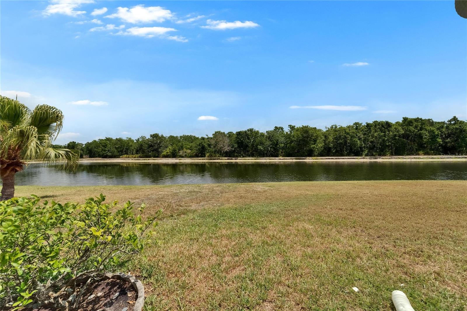 1040 SUMMER BREEZE DR, BRANDON, FL, 33511