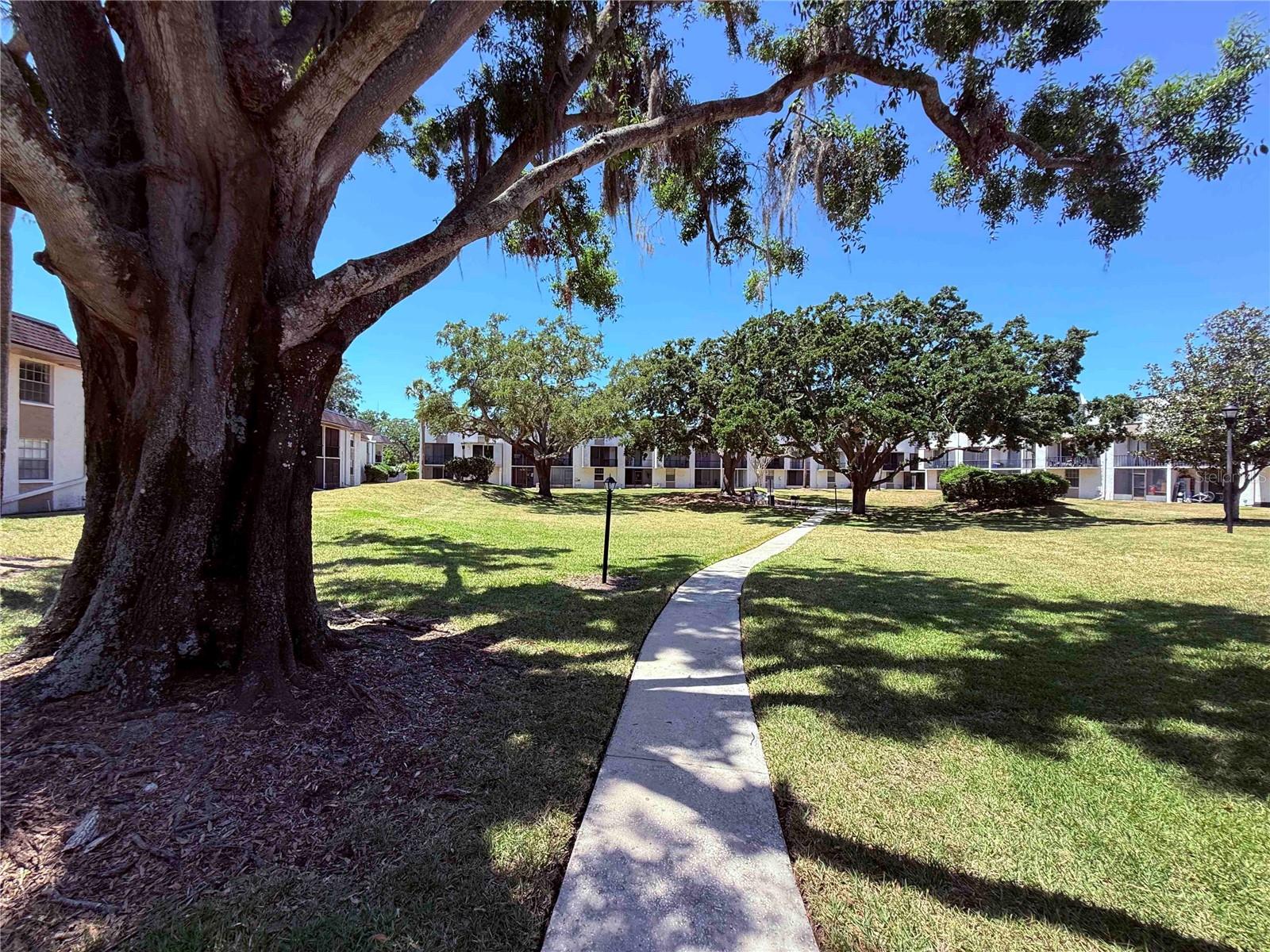 TB8377960 Property Photo