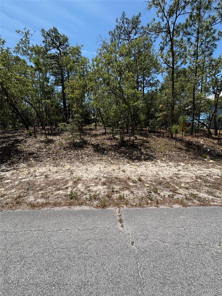 9572 N AKOLA WAY, CITRUS SPRINGS, FL, 34434