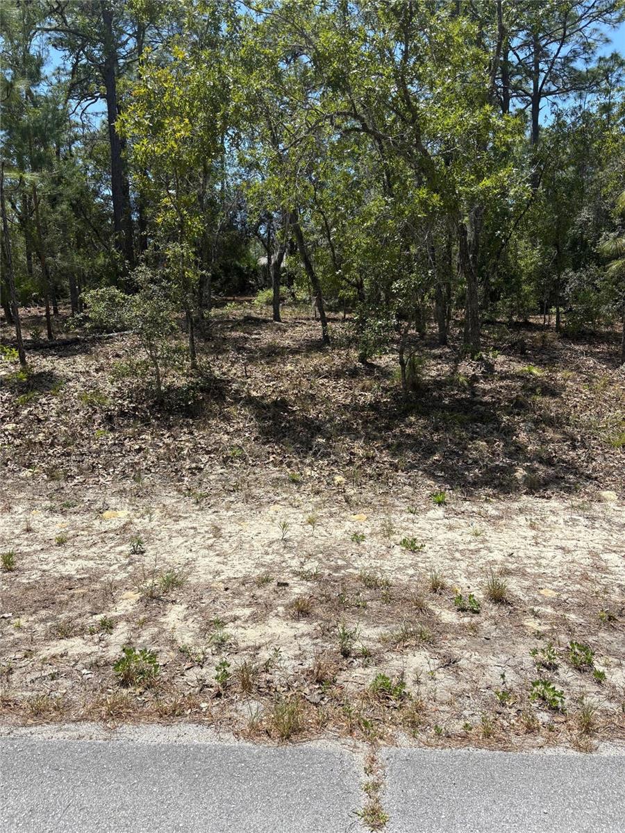 9572 N AKOLA WAY, CITRUS SPRINGS, FL, 34434