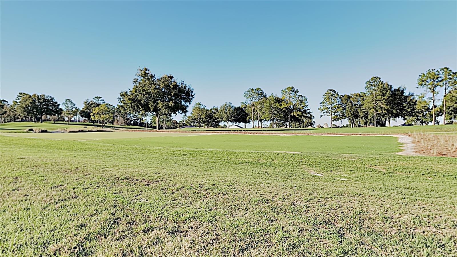 9911 SW 96TH ST, OCALA, FL, 34481