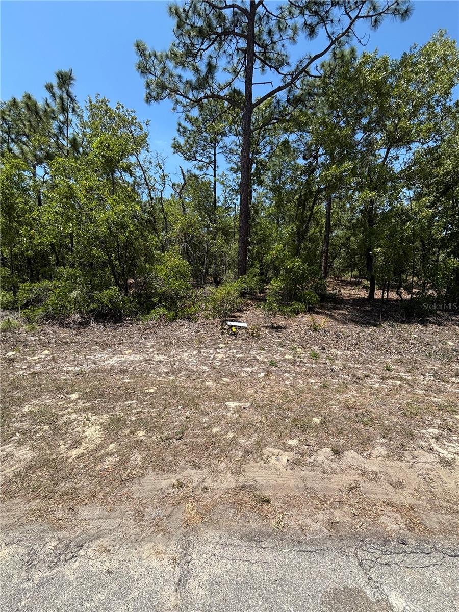 9898 N LATHYRUS TER, DUNNELLON, FL, 34433