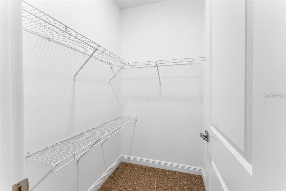 19047 BLUELEAF ST, ORLANDO, FL, 32827