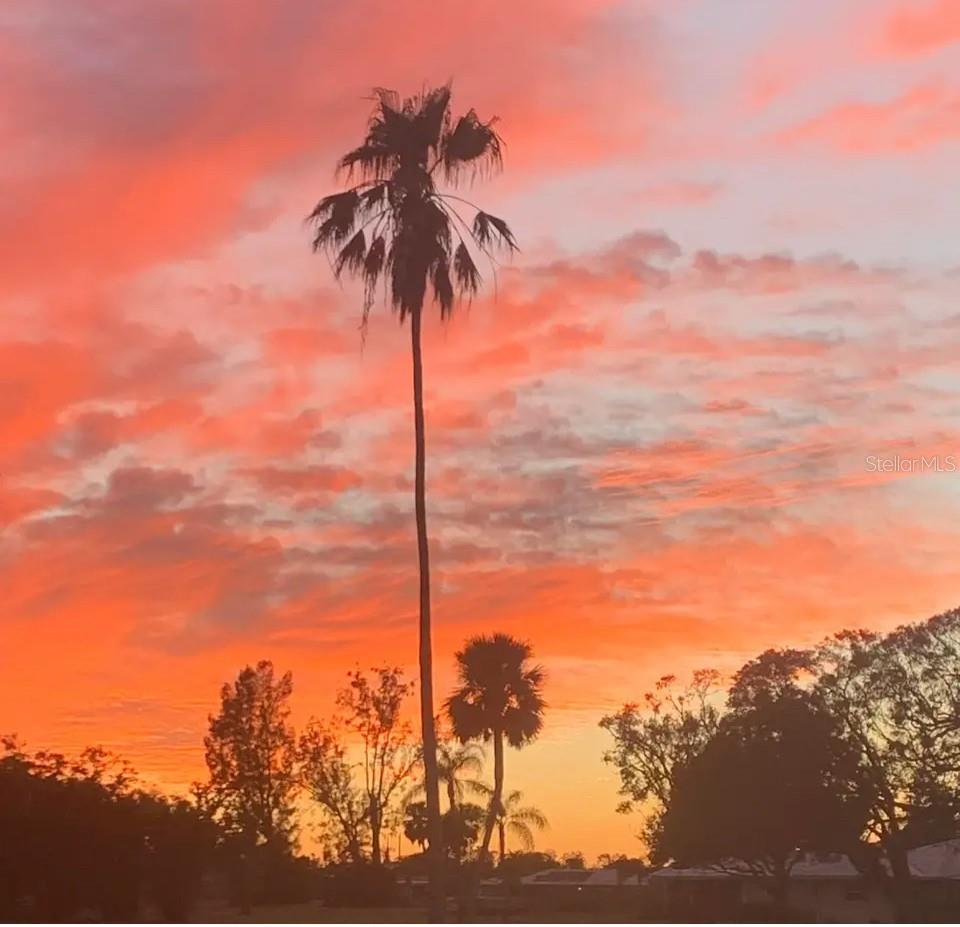 3336 PEMBROOK DR, SARASOTA, FL, 34239