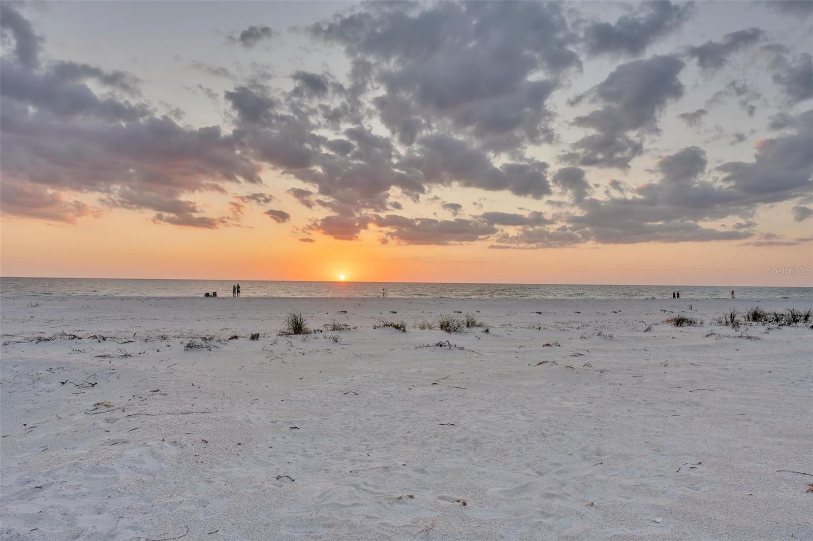 TB8377994 Property Photo