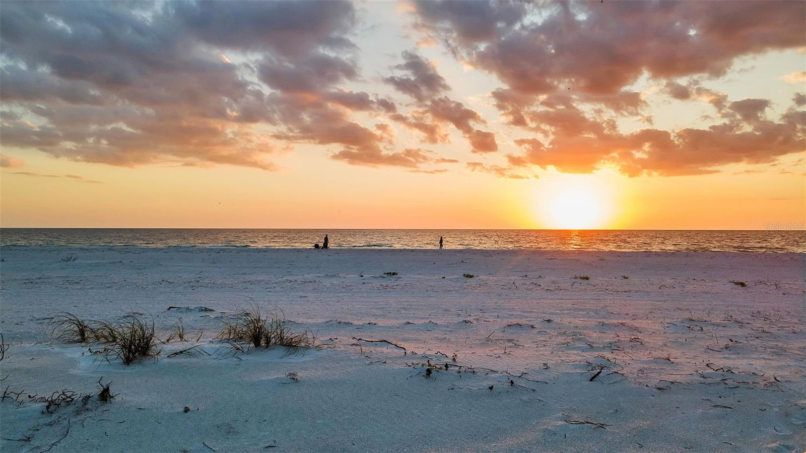 TB8377994 Property Photo