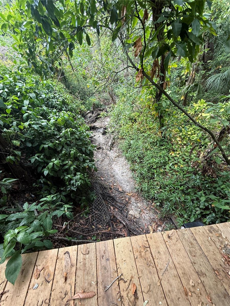 11727 N OLA AVE, TAMPA, FL, 33612