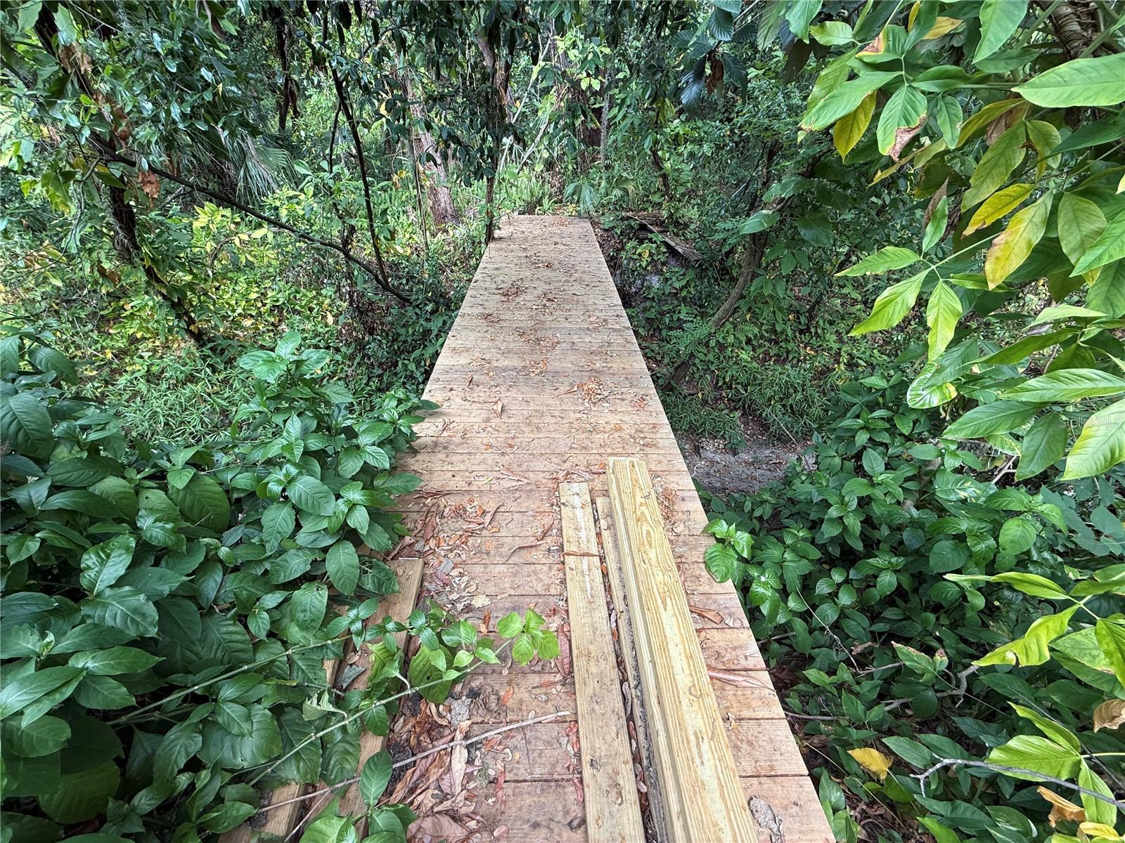 11727 N OLA AVE, TAMPA, FL, 33612