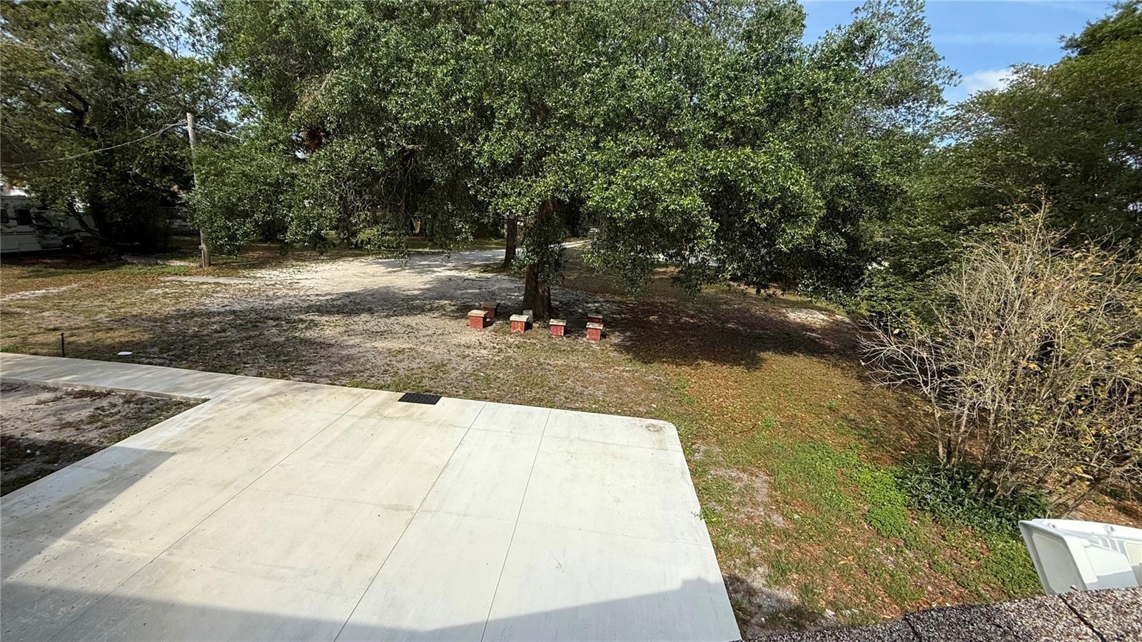 11727 N OLA AVE, TAMPA, FL, 33612