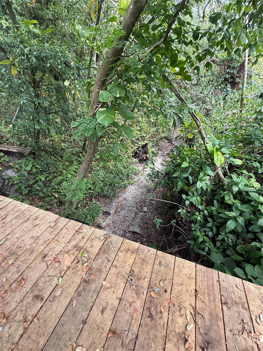 11727 N OLA AVE, TAMPA, FL, 33612