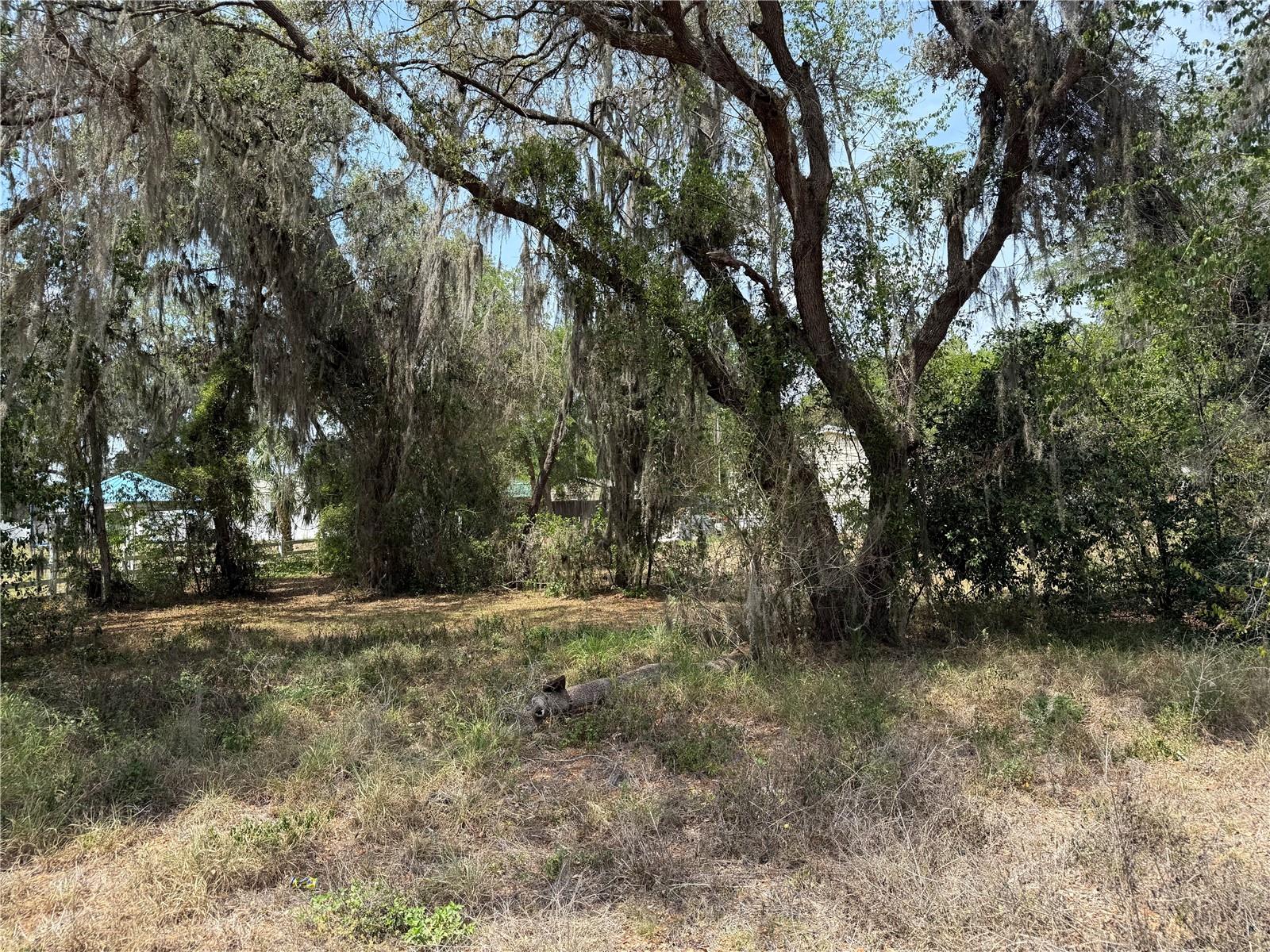 Vacant Land NW 8TH TRL, LAKE PANASOFFKEE, FL, 33538