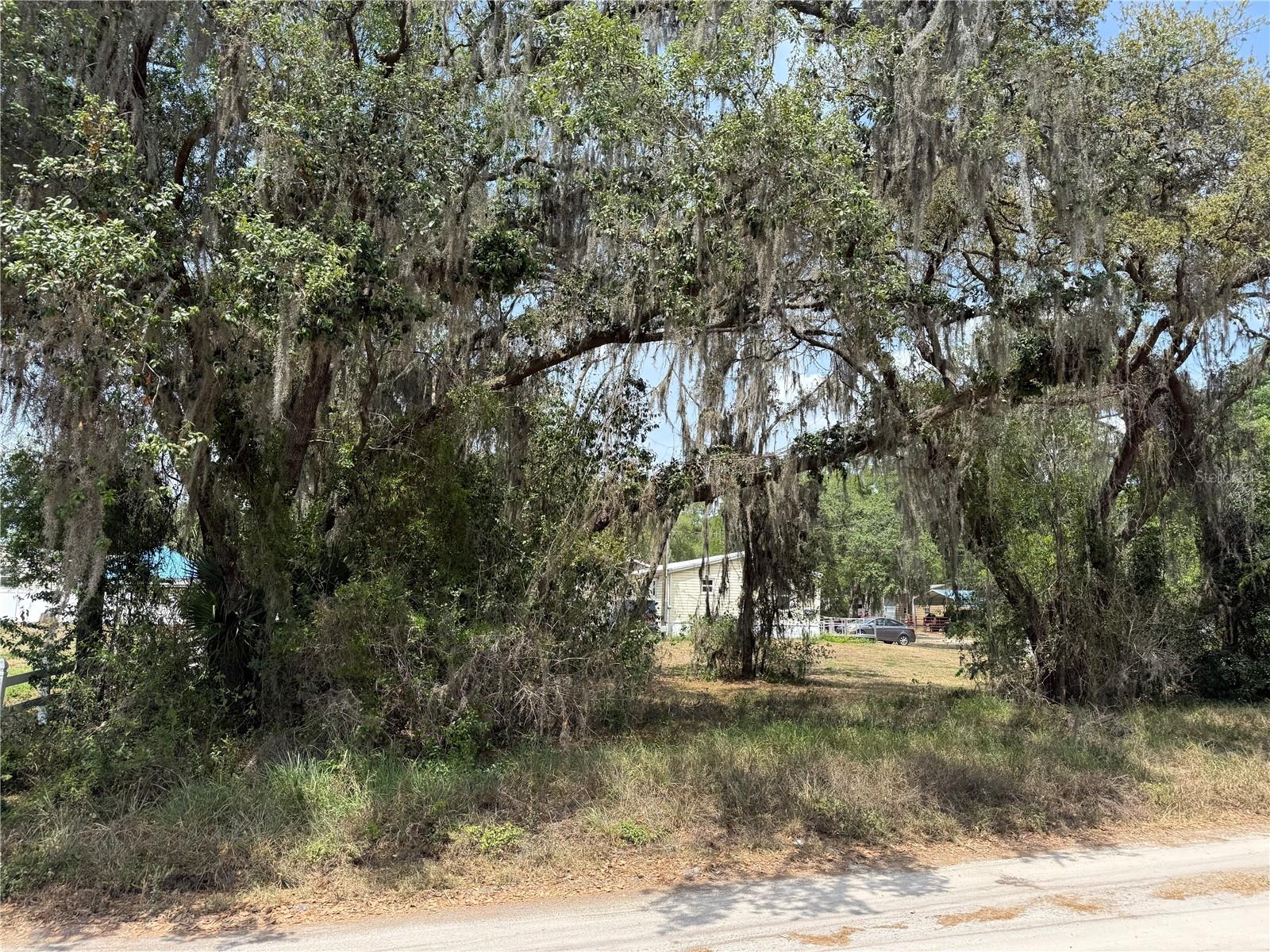 Vacant Land NW 8TH TRL, LAKE PANASOFFKEE, FL, 33538