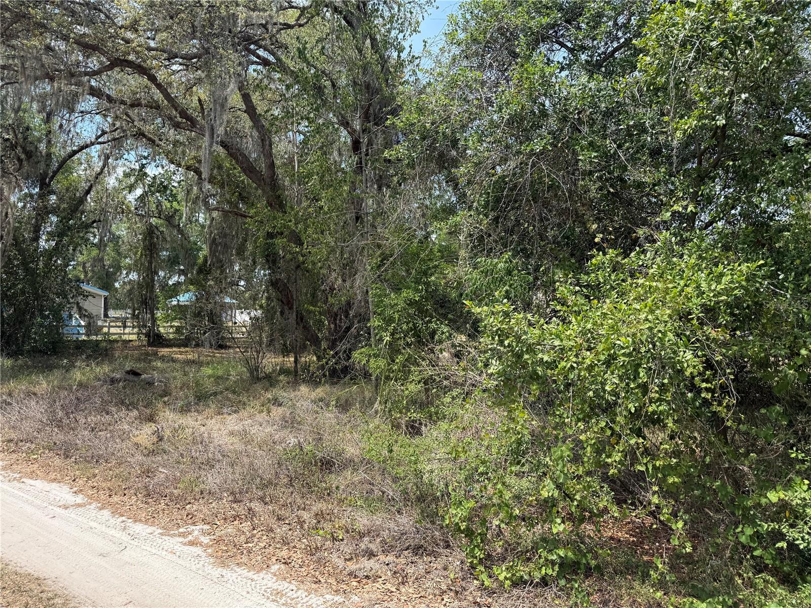 Vacant Land NW 8TH TRL, LAKE PANASOFFKEE, FL, 33538