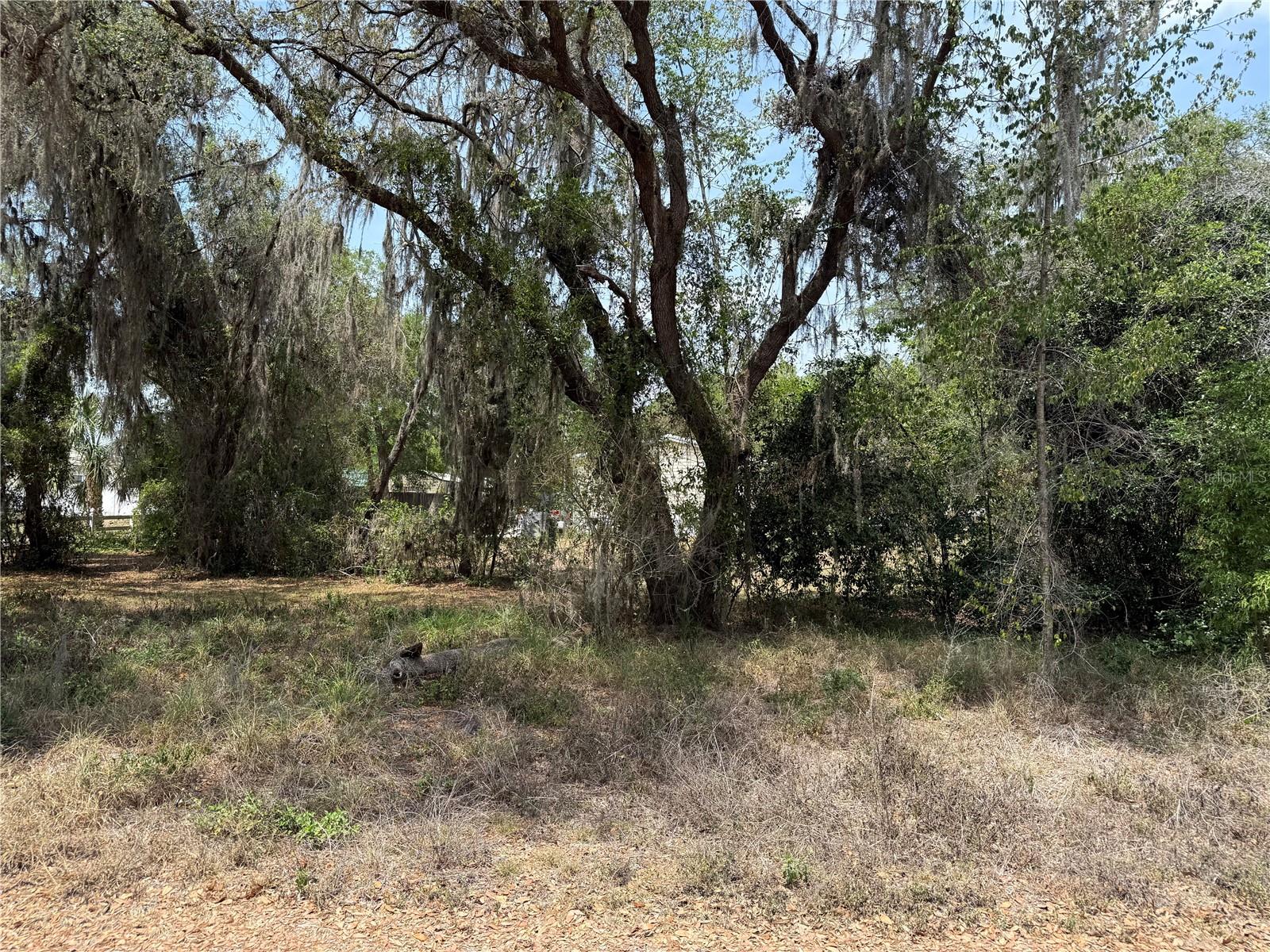 Vacant Land NW 8TH TRL, LAKE PANASOFFKEE, FL, 33538