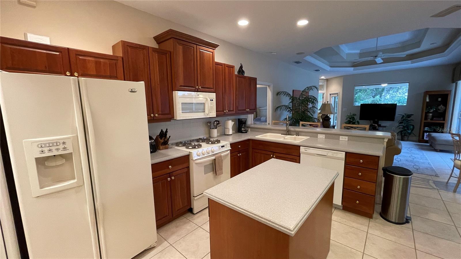 6606 PINEFEATHER CT, BRADENTON, FL, 34203