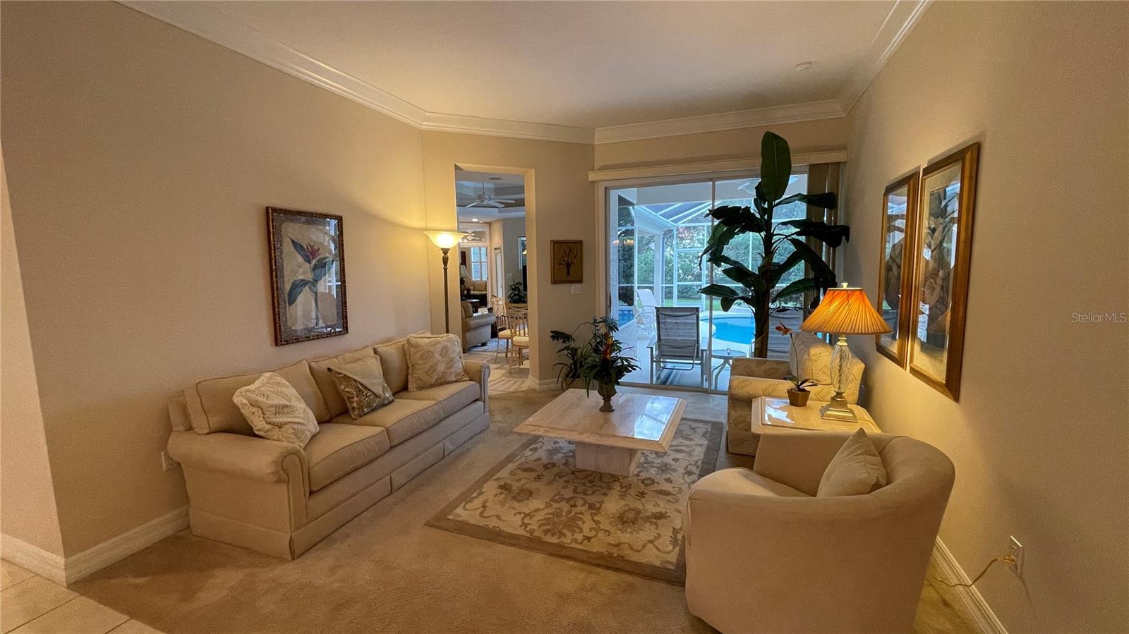 6606 PINEFEATHER CT, BRADENTON, FL, 34203