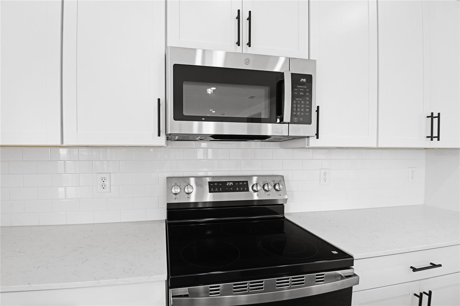 1067 CLOUD RIDGE CT, MOUNT DORA, FL, 32757