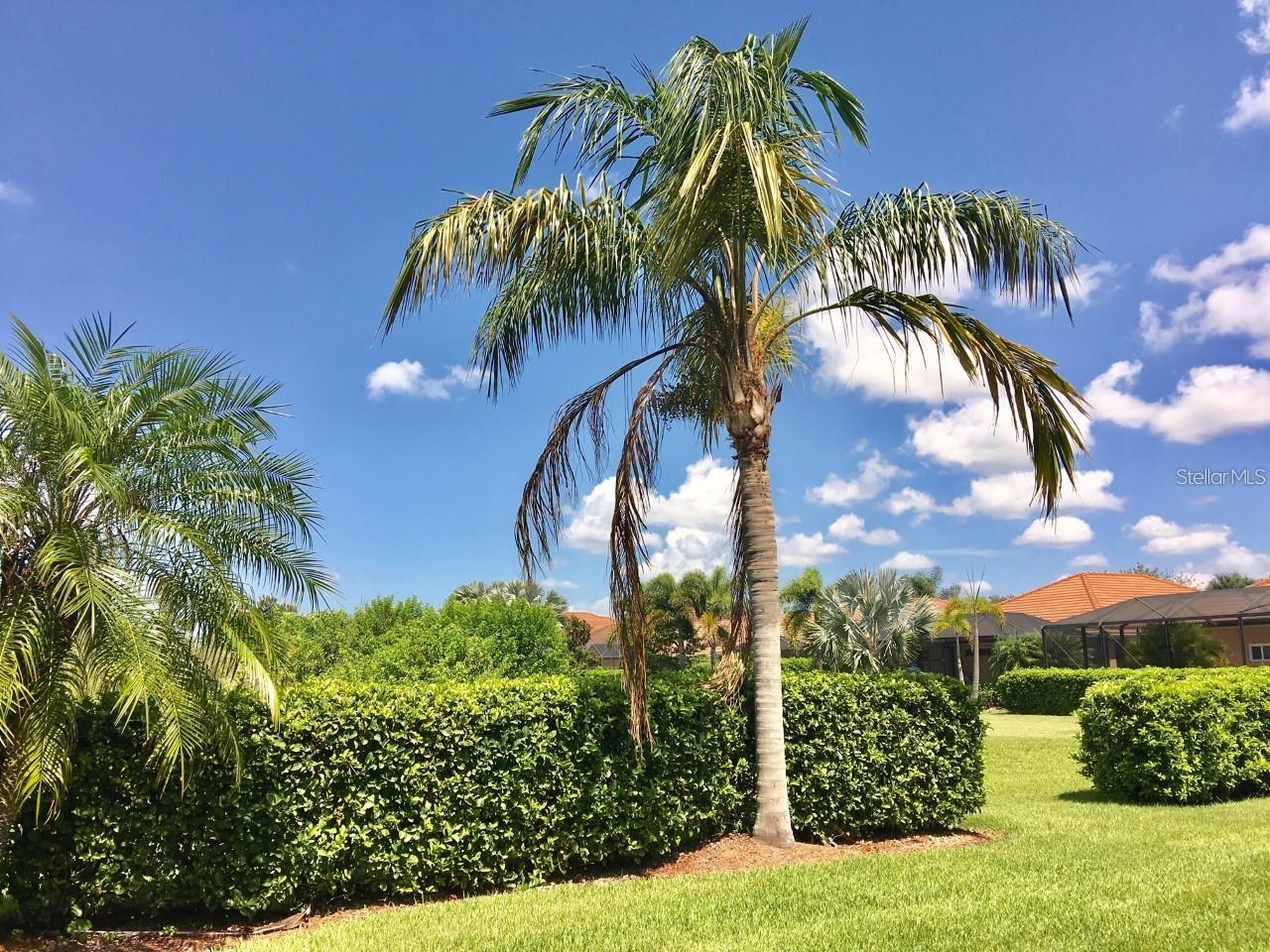 214 WINDING RIVER TRL, BRADENTON, FL, 34212