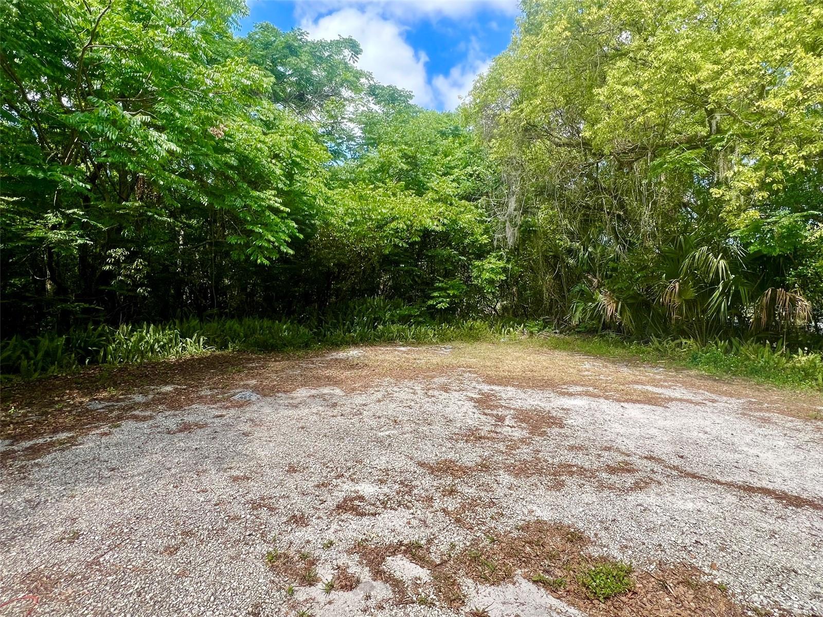 317 S VOLUSIA AVE, ORANGE CITY, FL, 32763