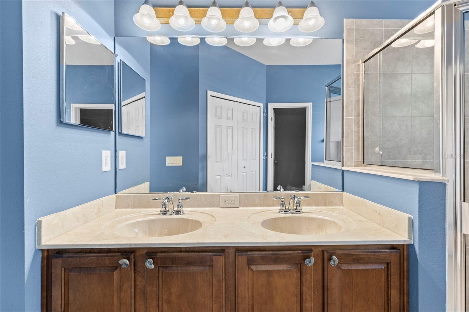 9632 ASBEL ESTATES ST, LAND O LAKES, FL, 34638