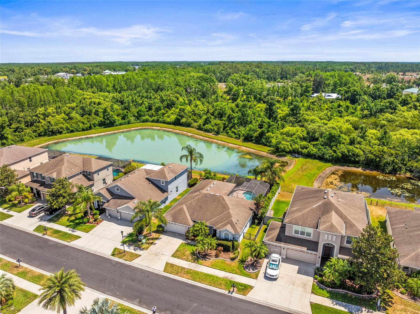 9632 ASBEL ESTATES ST, LAND O LAKES, FL, 34638