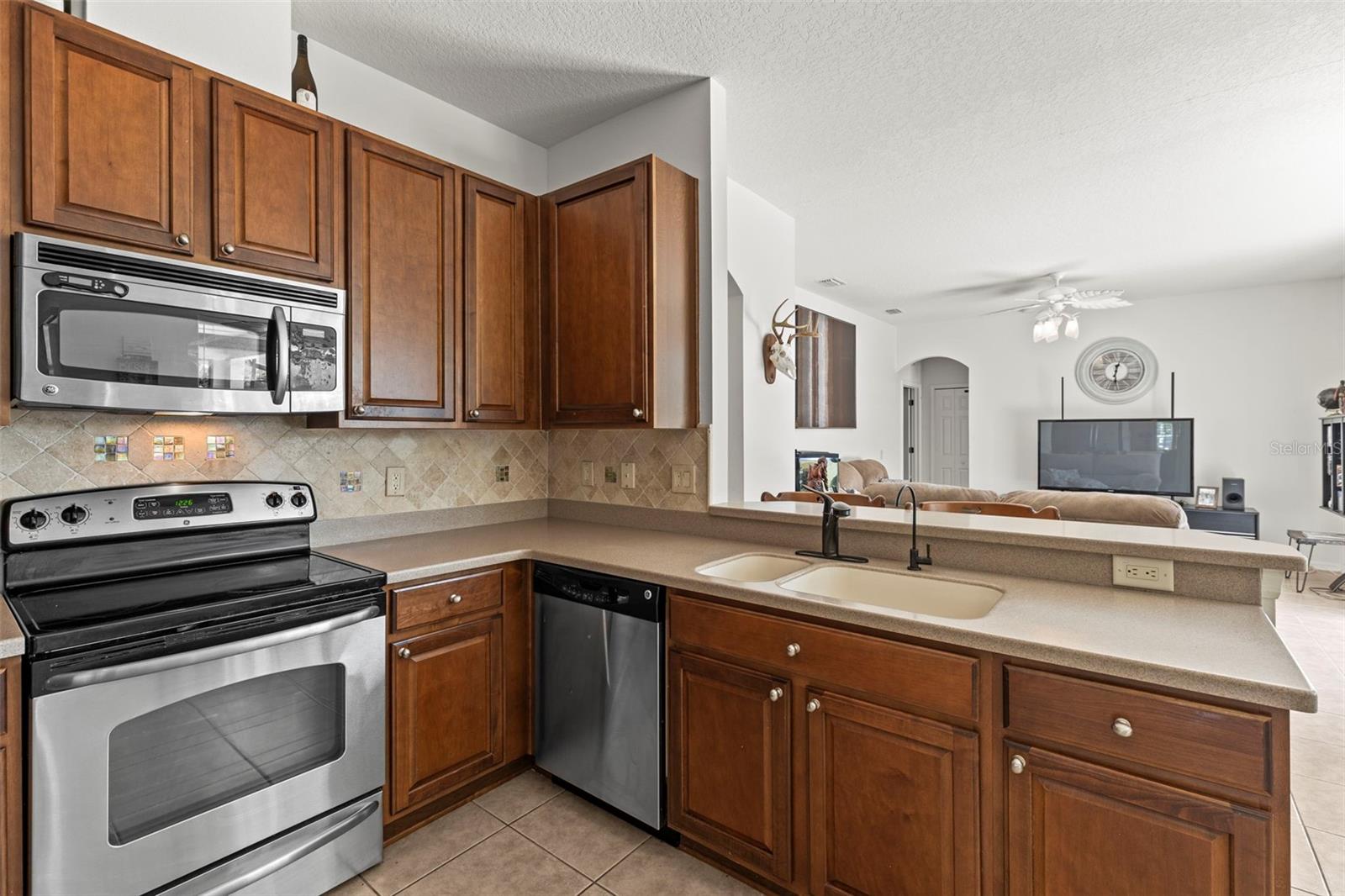 9632 ASBEL ESTATES ST, LAND O LAKES, FL, 34638