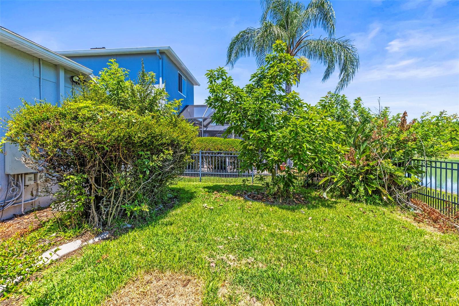 9632 ASBEL ESTATES ST, LAND O LAKES, FL, 34638