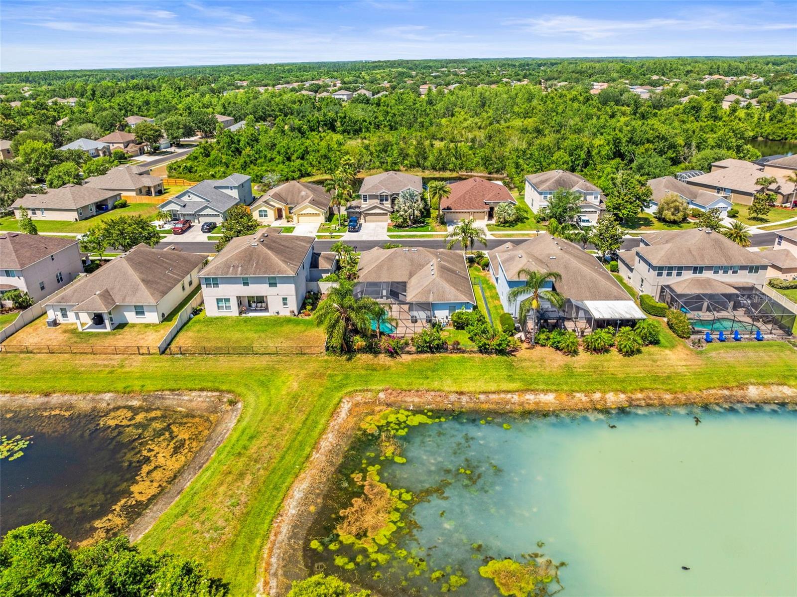 9632 ASBEL ESTATES ST, LAND O LAKES, FL, 34638