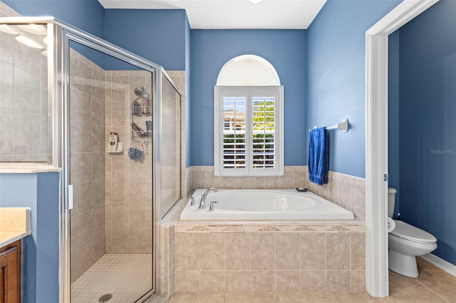 9632 ASBEL ESTATES ST, LAND O LAKES, FL, 34638