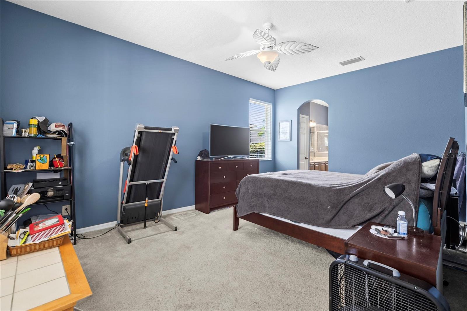 9632 ASBEL ESTATES ST, LAND O LAKES, FL, 34638