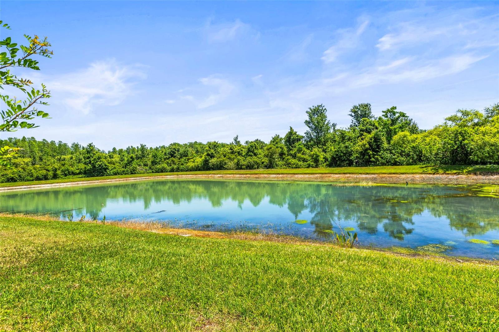 9632 ASBEL ESTATES ST, LAND O LAKES, FL, 34638