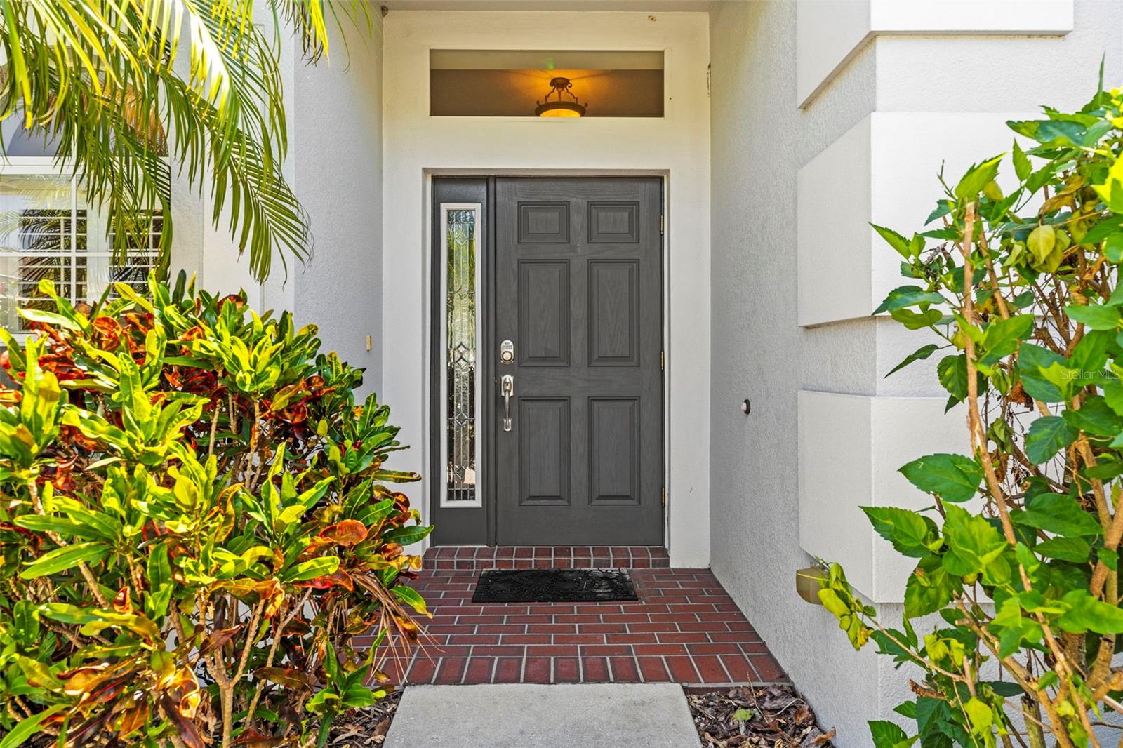 9632 ASBEL ESTATES ST, LAND O LAKES, FL, 34638