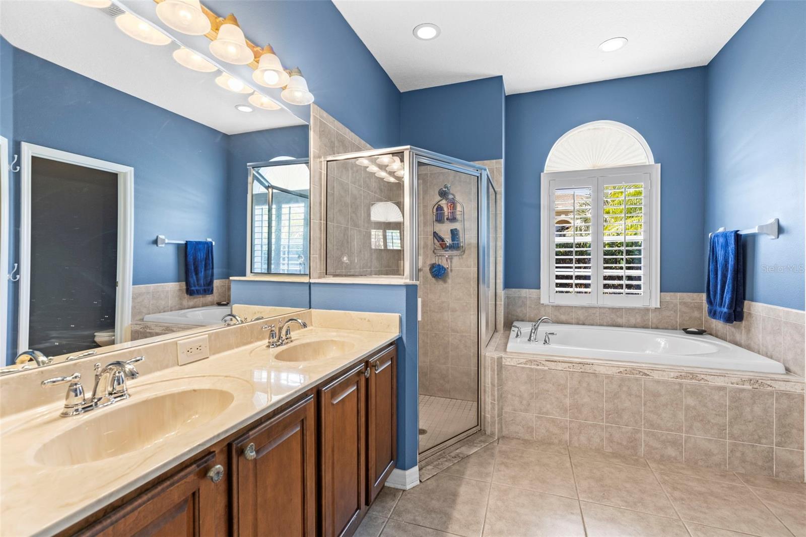 9632 ASBEL ESTATES ST, LAND O LAKES, FL, 34638