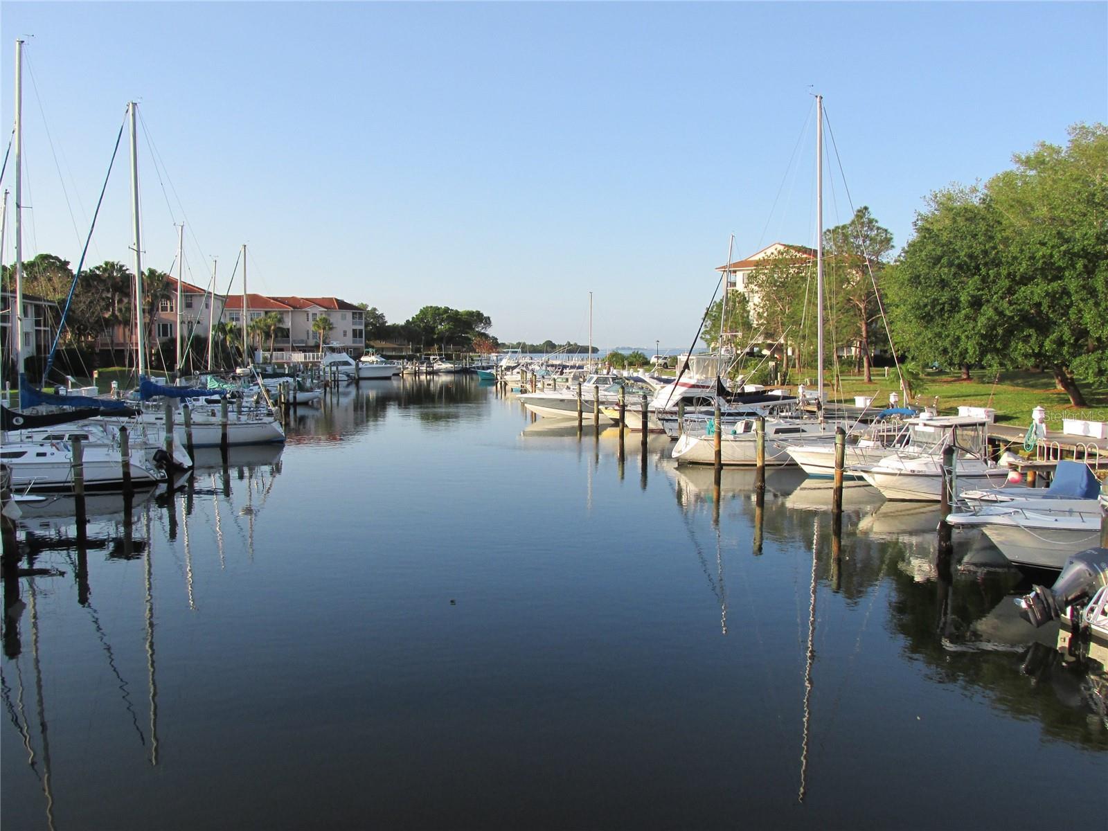 1806 MARINER DR #318, TARPON SPRINGS, FL, 34689