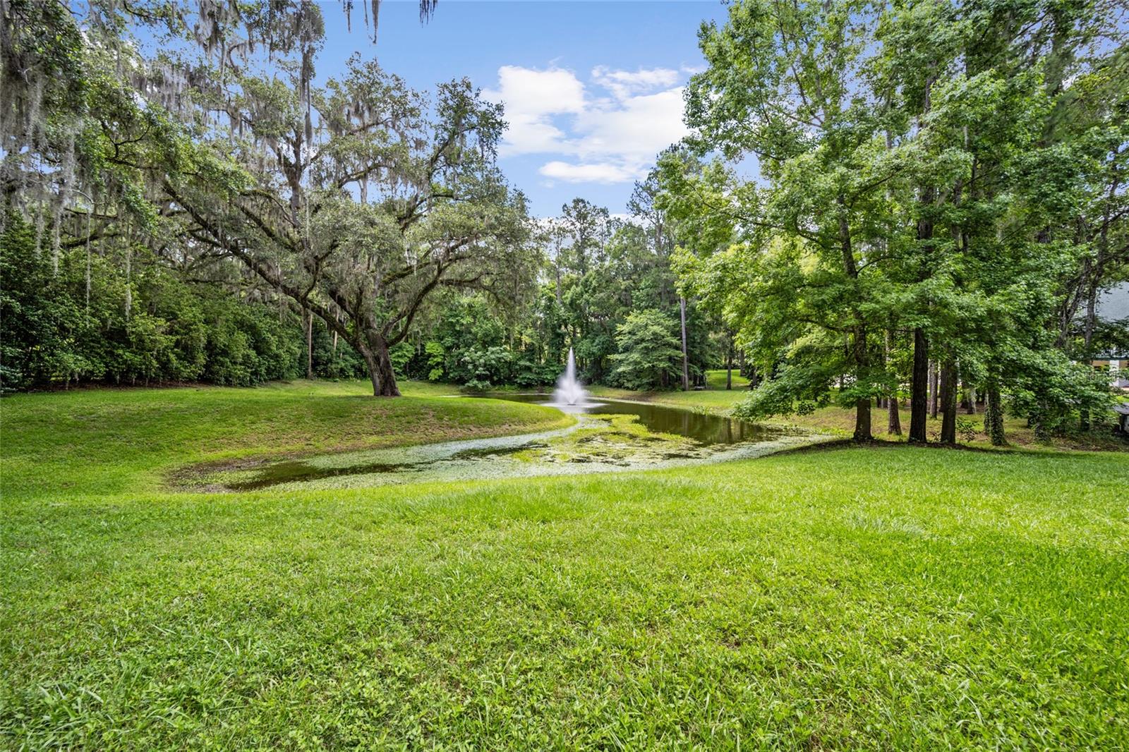 950 SW 43RD PL, OCALA, FL, 34471