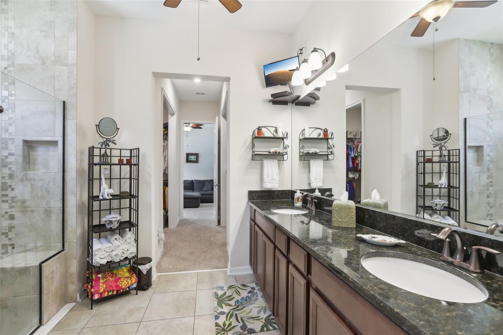 10407 ALCON BLUE DR, RIVERVIEW, FL, 33578