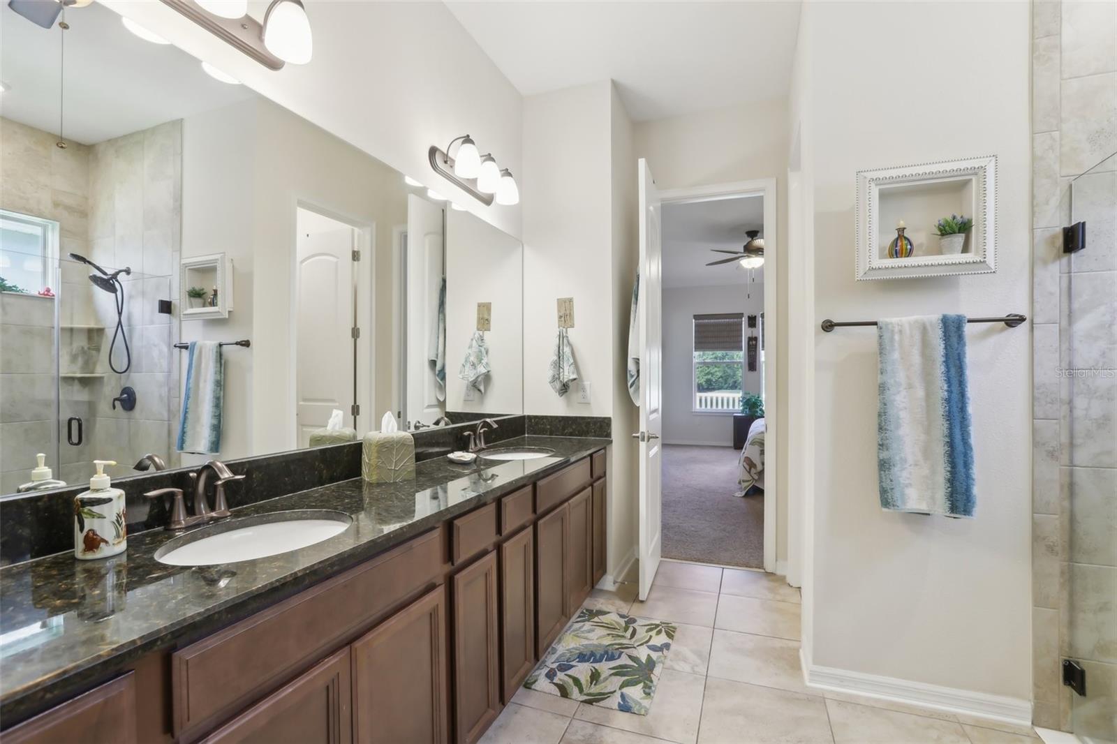 10407 ALCON BLUE DR, RIVERVIEW, FL, 33578