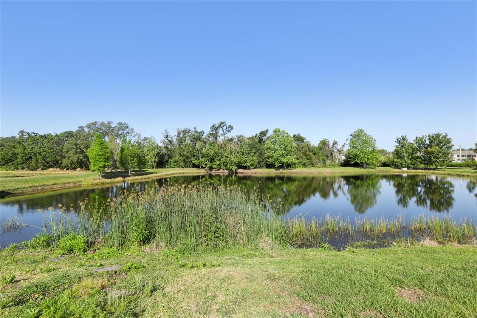 10407 ALCON BLUE DR, RIVERVIEW, FL, 33578