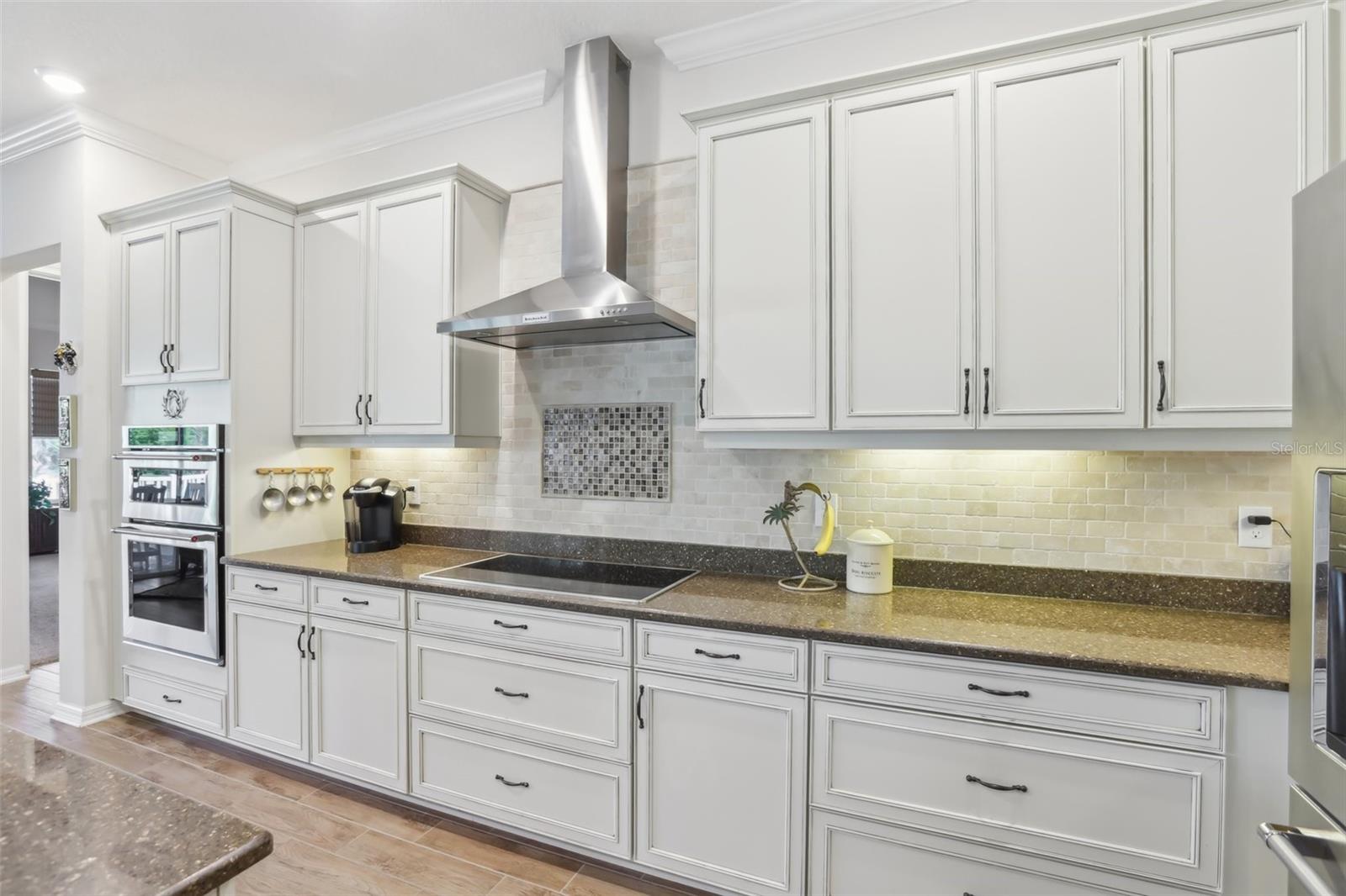 10407 ALCON BLUE DR, RIVERVIEW, FL, 33578